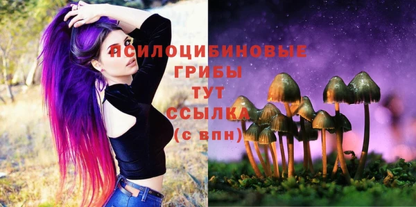 mdpv Волоколамск