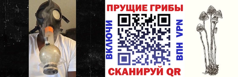 Псилоцибиновые грибы Magic Shrooms omg зеркало Сковородино что такое наркотик