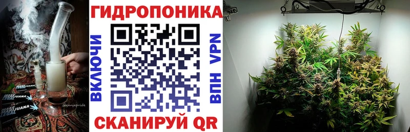 Шишки марихуана план Сковородино